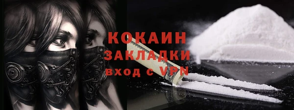 шишки Балабаново