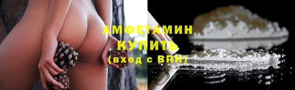 шишки Балабаново