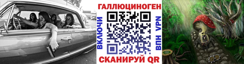 Купить  Городец  Псилоцибиновые грибы мицелий 
